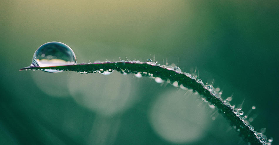 Goccia di acqua.